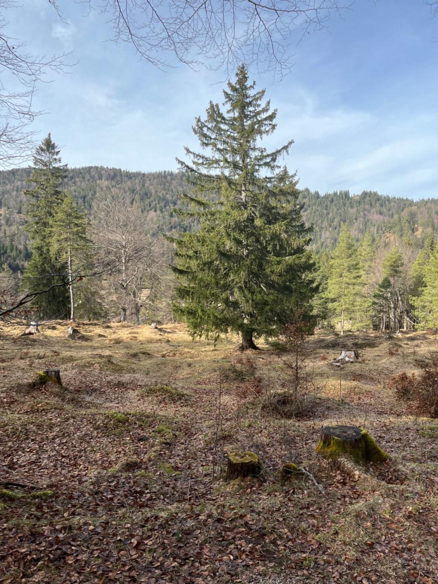 Fewo Lautersee Mittenwald Extérieur photo