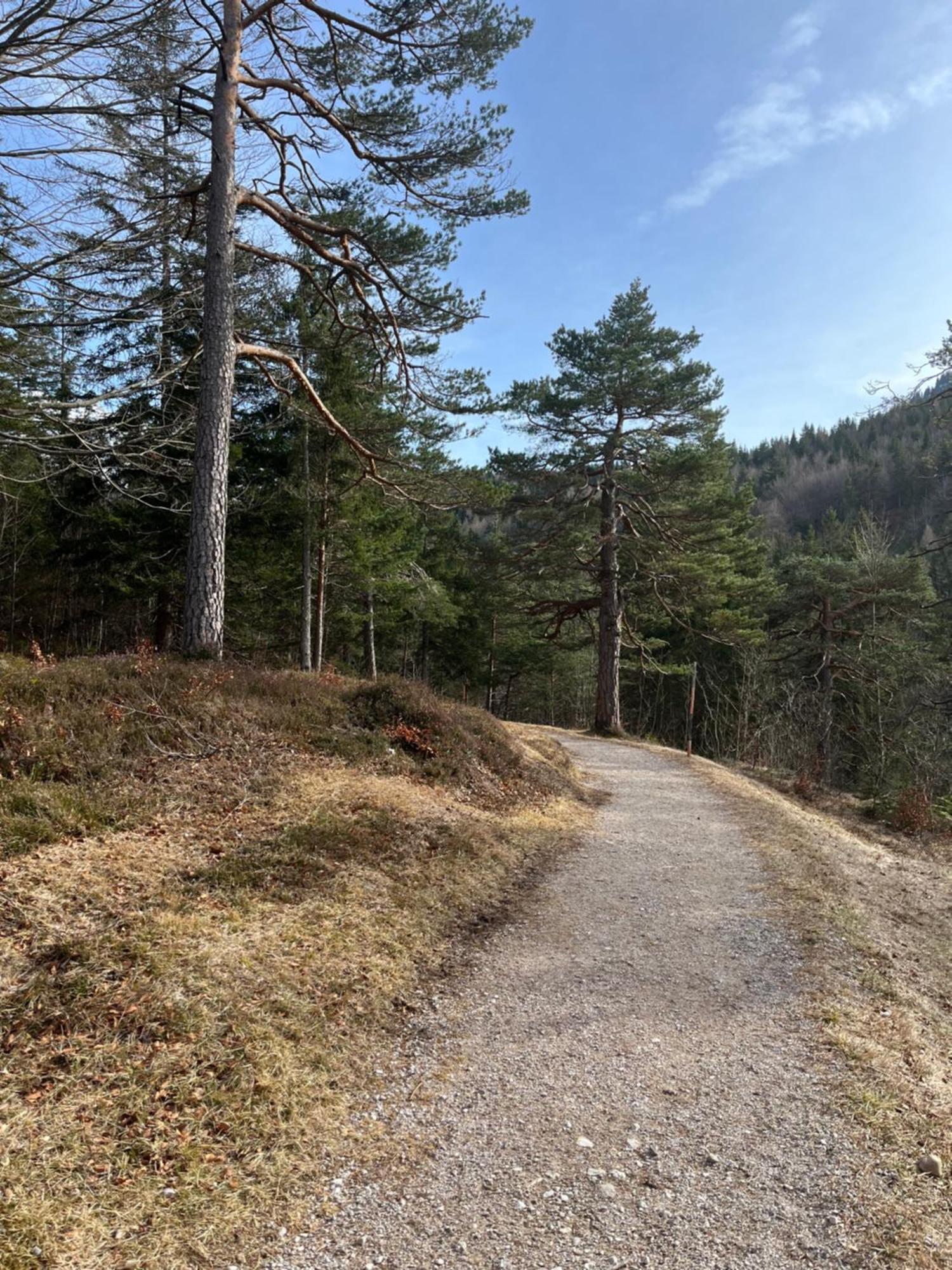 Fewo Lautersee Mittenwald Extérieur photo