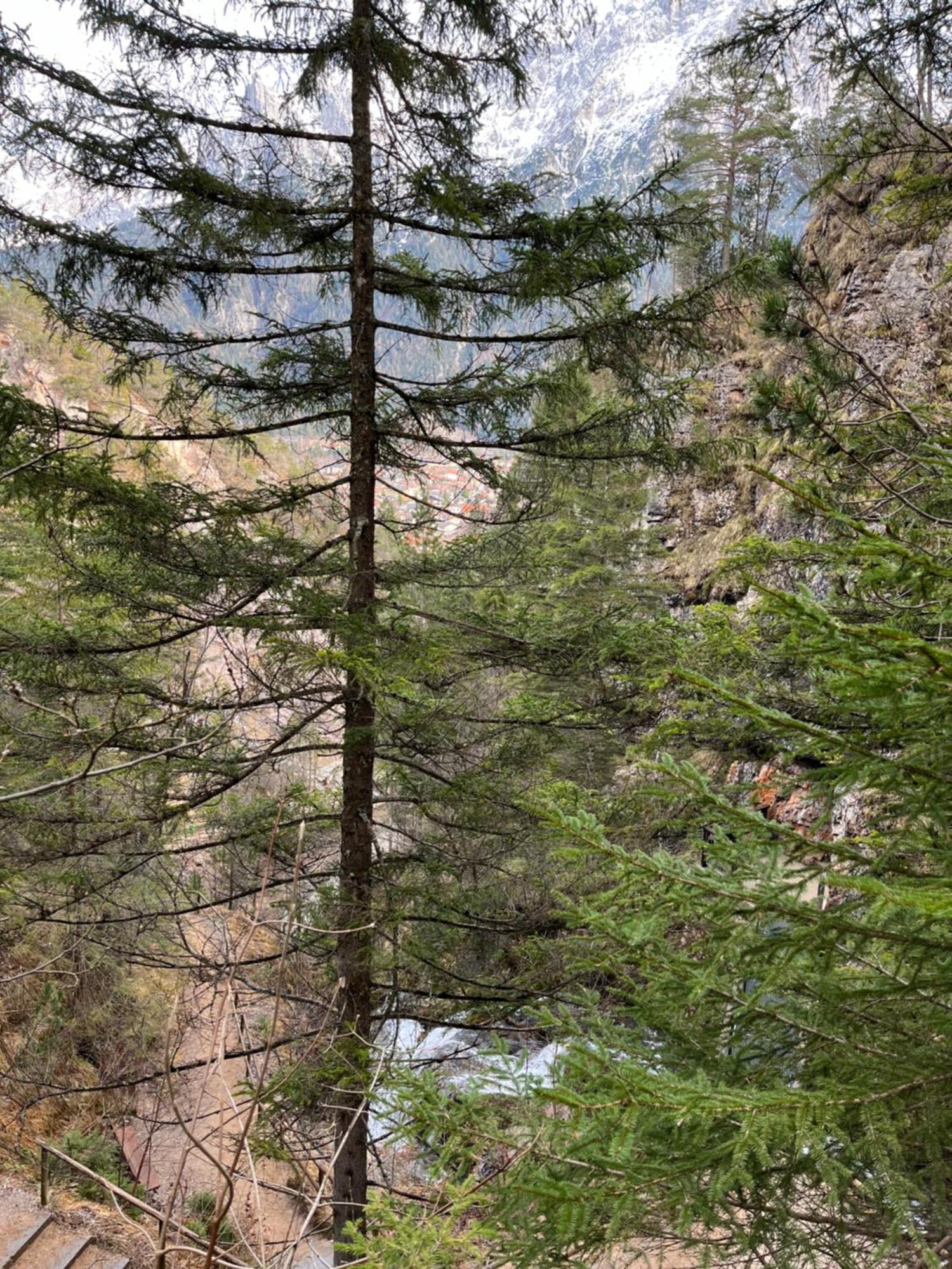 Fewo Lautersee Mittenwald Extérieur photo